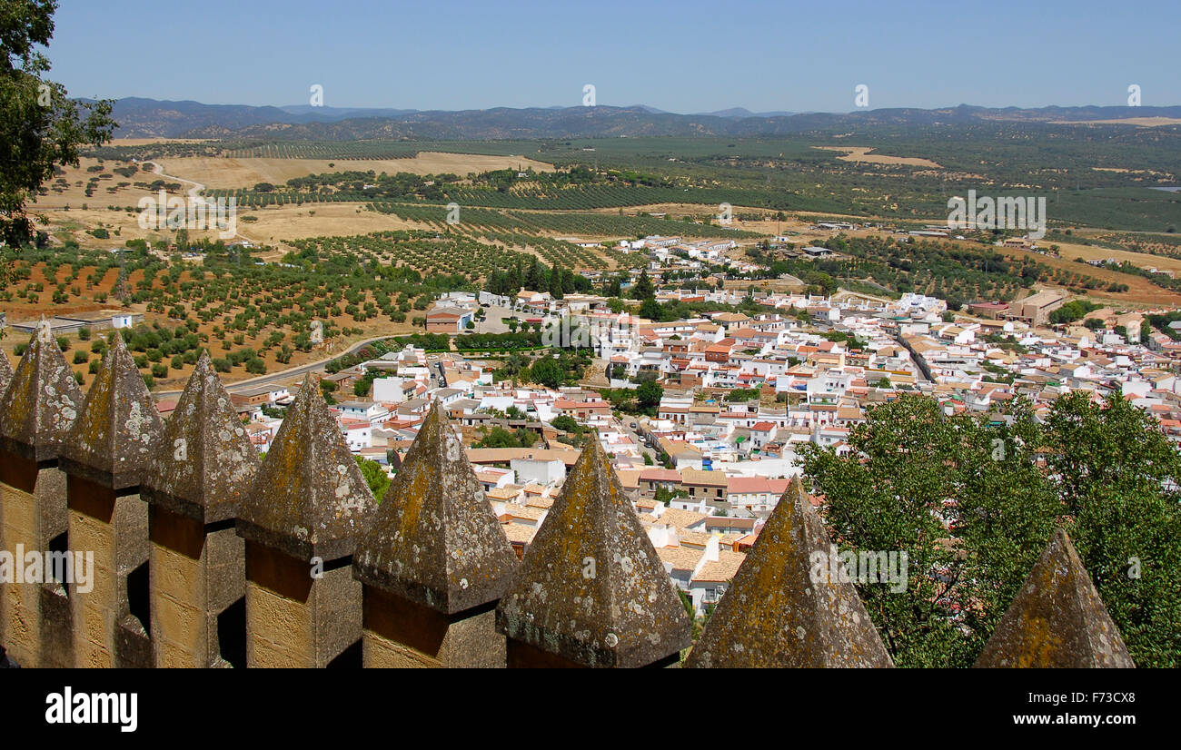 Almodóvar del Río, Cordoba, Andalusia del castello in stile di architettura è Gothic-Mudejar Foto Stock