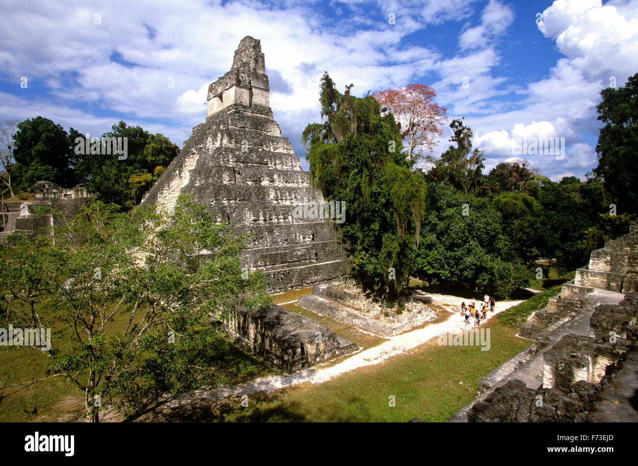 Tempio che io (o tempio della grande Jaguar) al Parco Nazionale di Tikal, Guatemala. Foto Stock