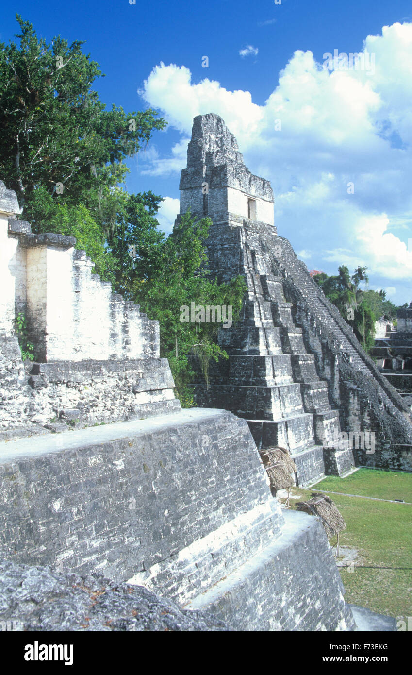 Tempio mi torri 145 piedi sopra la grande Plaza a Tikal, Guatemala. Foto Stock