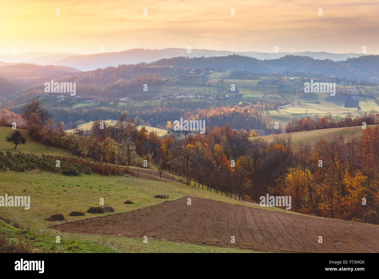 Il serbo highland Foto Stock