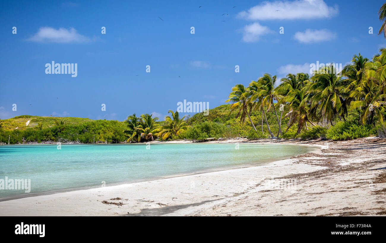 Paradiso tropicale sulla spiaggia di Isola Contoy in Messico Foto Stock