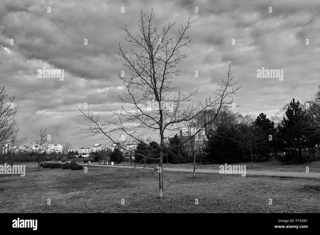 Autunno nel parco all'aperto. Zaspa di Danzica, Polonia. Foto Stock