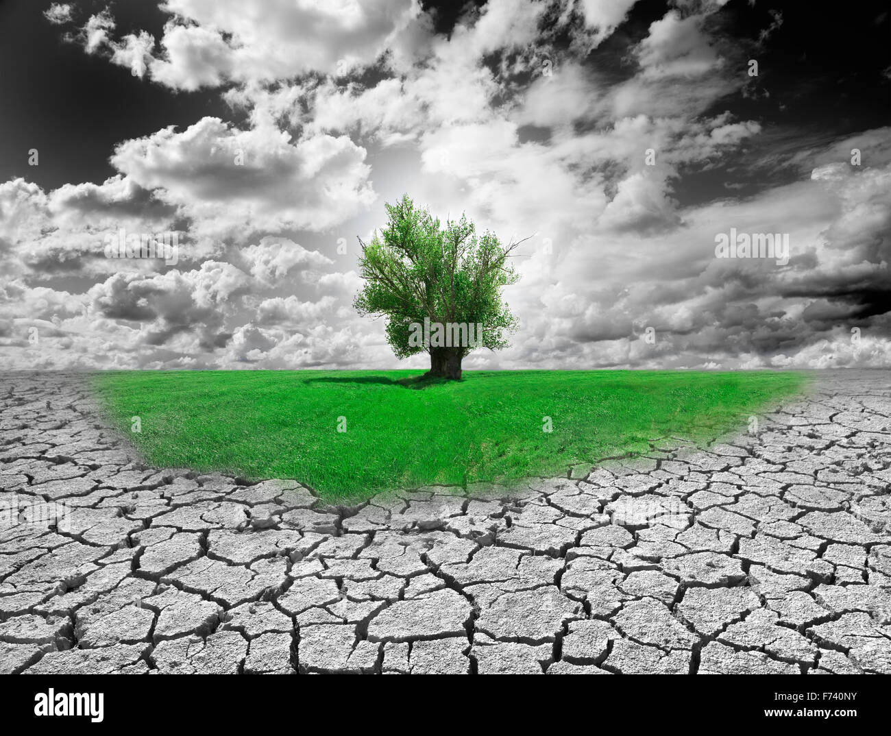 Concetto di ambiente con struttura ad albero e il terreno asciutto Foto Stock
