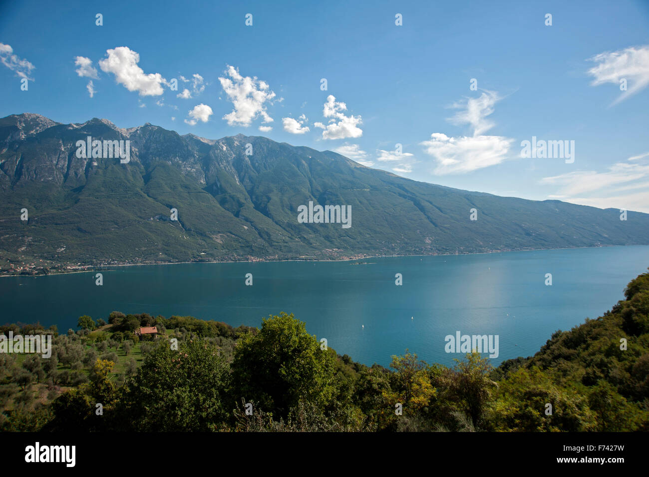 Lago di Garda, vista da Tremosine a Est, Monte Baldo- Italia Foto Stock