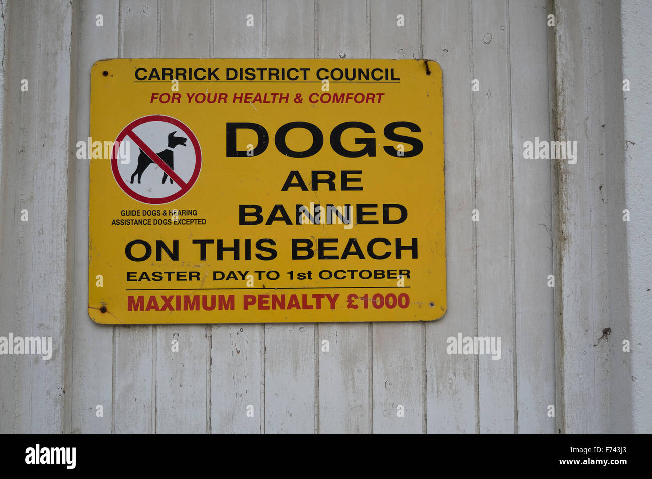 Segno che indica quando i cani sono ammessi sulla spiaggia di Gyllyngvase (Gylly) spiaggia, Falmouth, Cornwall Foto Stock