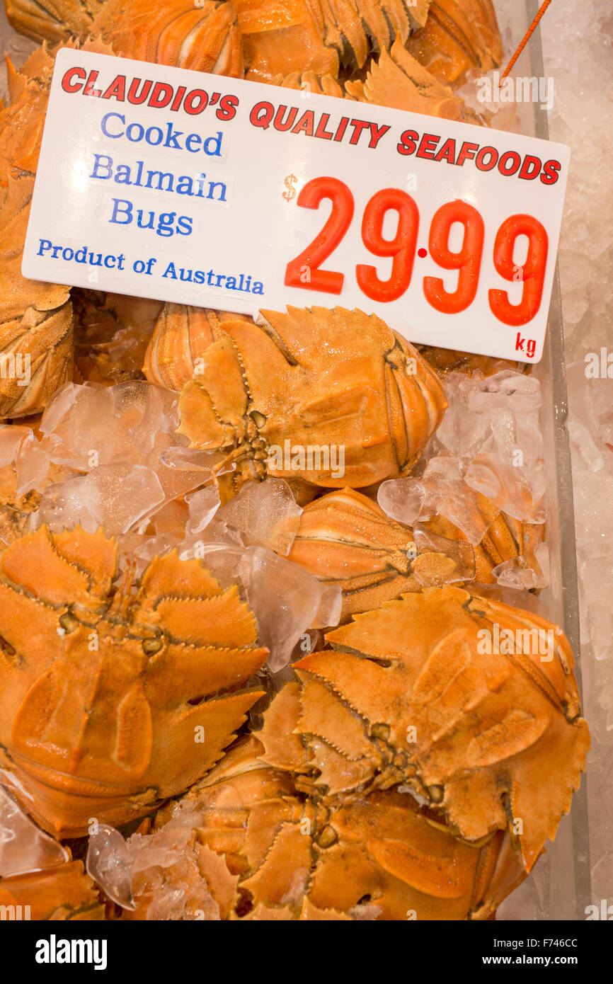 Balmain bug ventola butterfly aragoste ibacus peronii cotte e congelate per la vendita in stallo in Sydney Fish Market NSW Australia Foto Stock