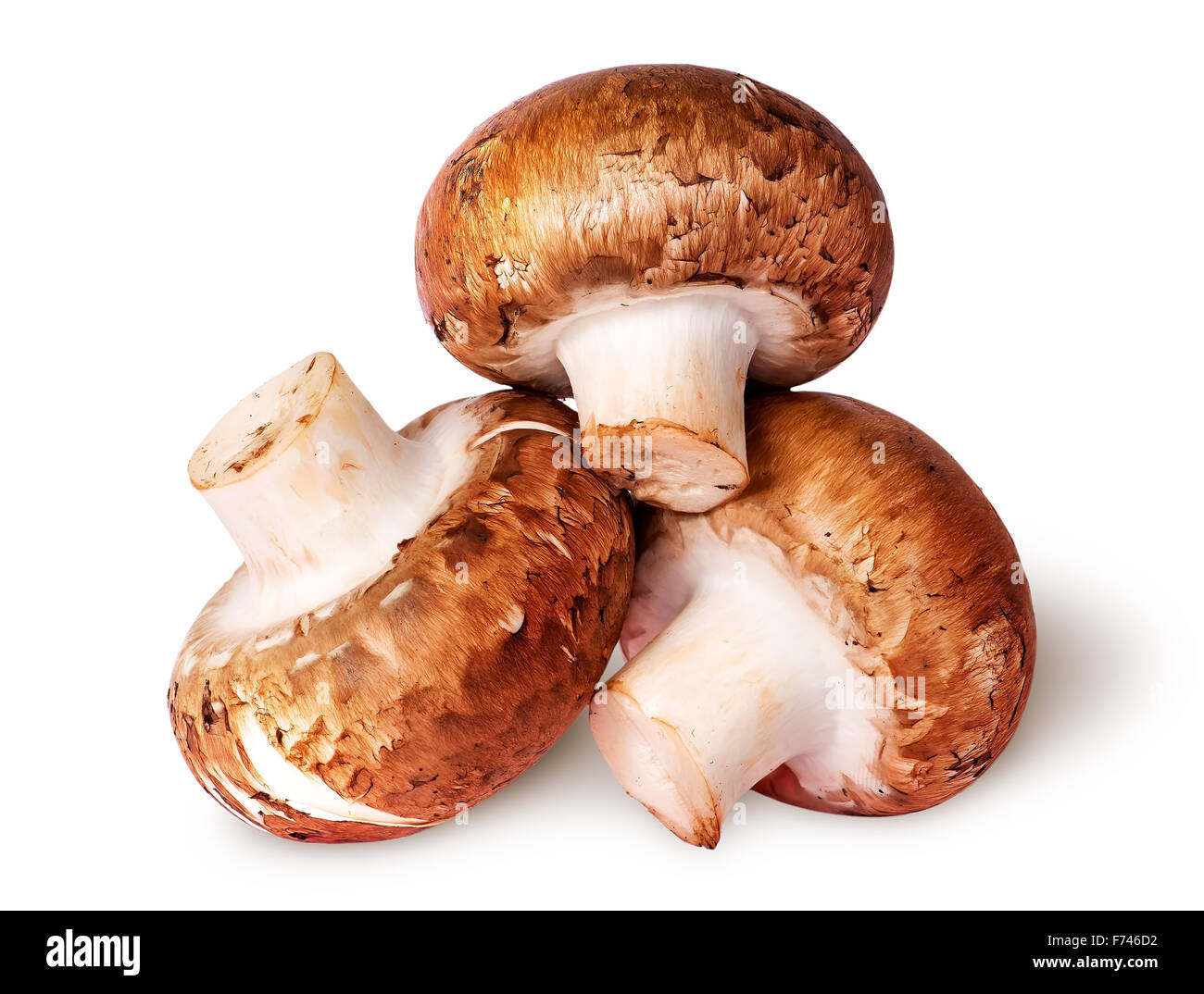 Tre intere fresche champignon marrone isolati su sfondo bianco Foto Stock