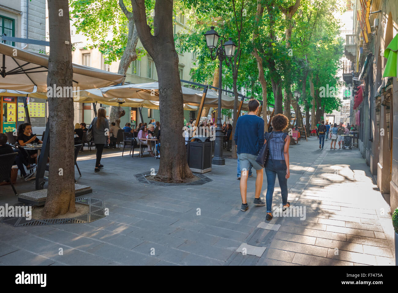 Il Viale Nel Centro Di Teieste Il Viale Nel Centro Di Teieste