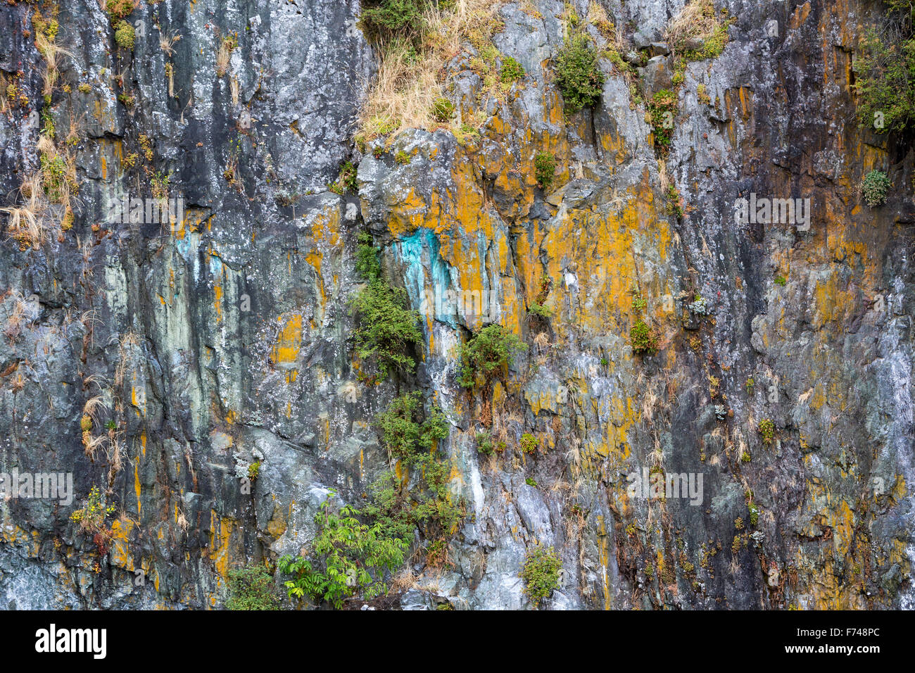 America del nord, Canada, British Columbia, Quadra Island, Cliff, Verde rame dovuto ad ossidazione Foto Stock