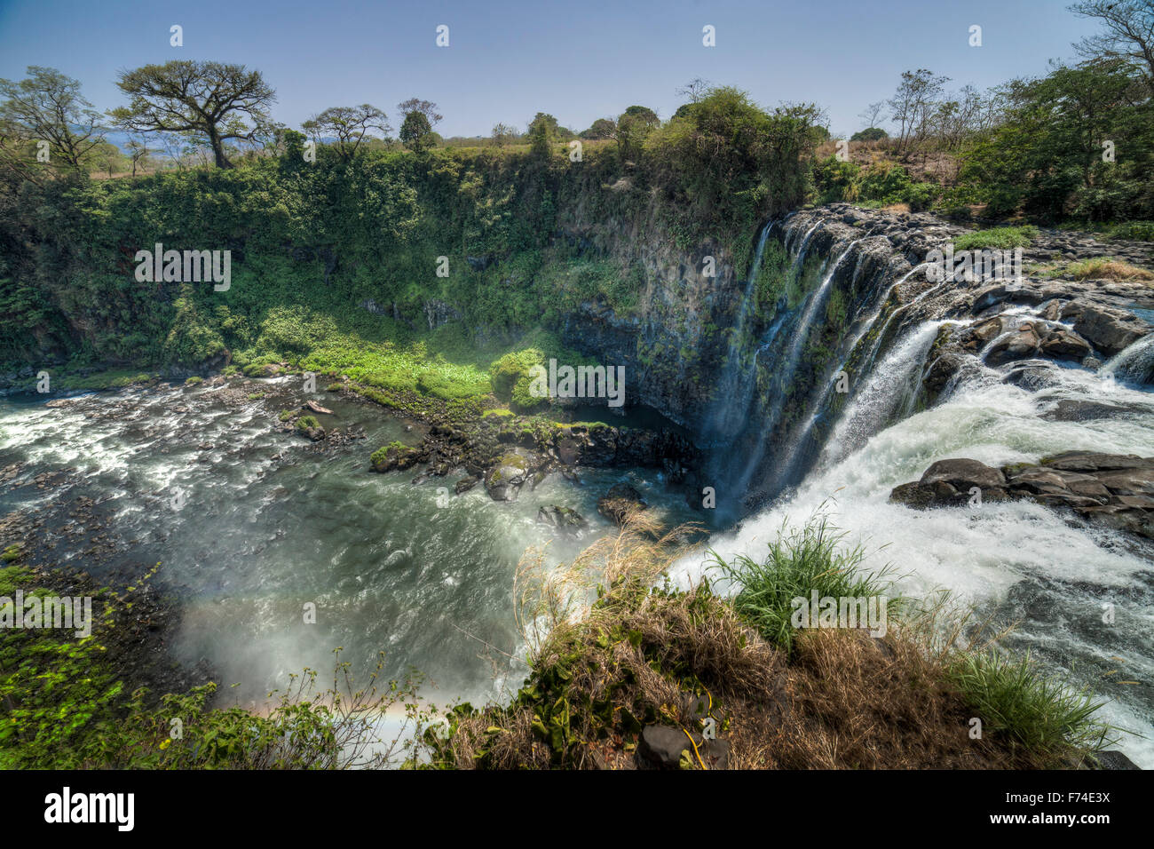 Cascate di Eyipantla nella regione di Los Tuxtlas, Veracruz, Messico. Foto Stock