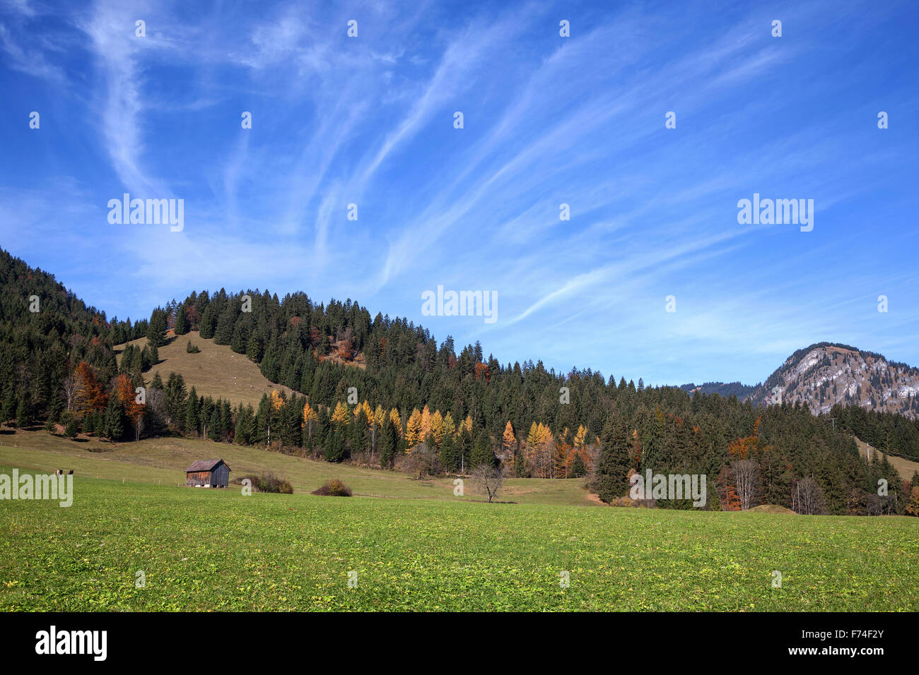 Prato e la formazione di nube, Bruck vicino a Bad Hindelang, autunno umore, Algovia, Baviera, Germania Foto Stock