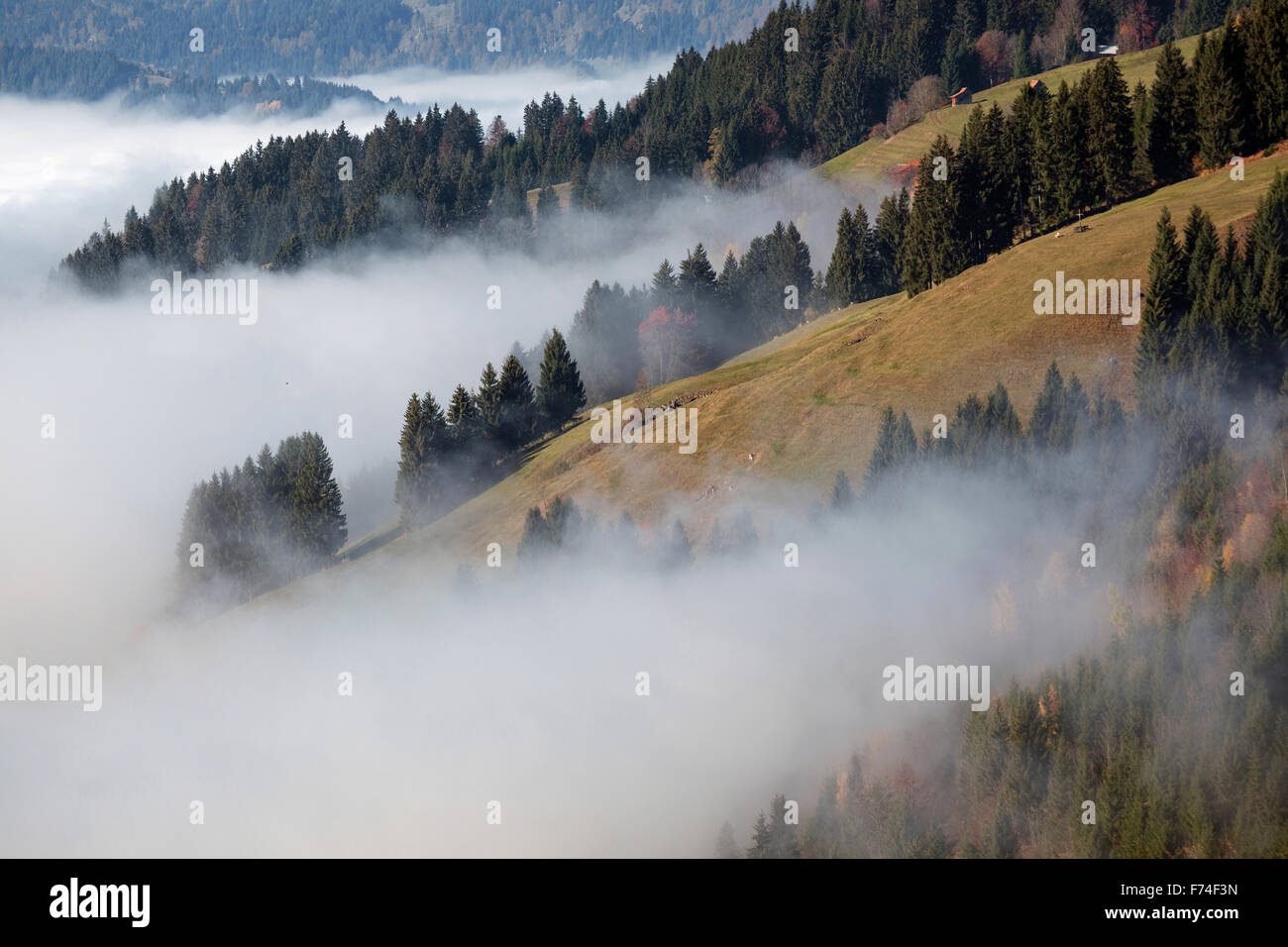 La nebbia sopra Ostrach Valley, Bad Hindelang, Algovia, Baviera, Germania Foto Stock