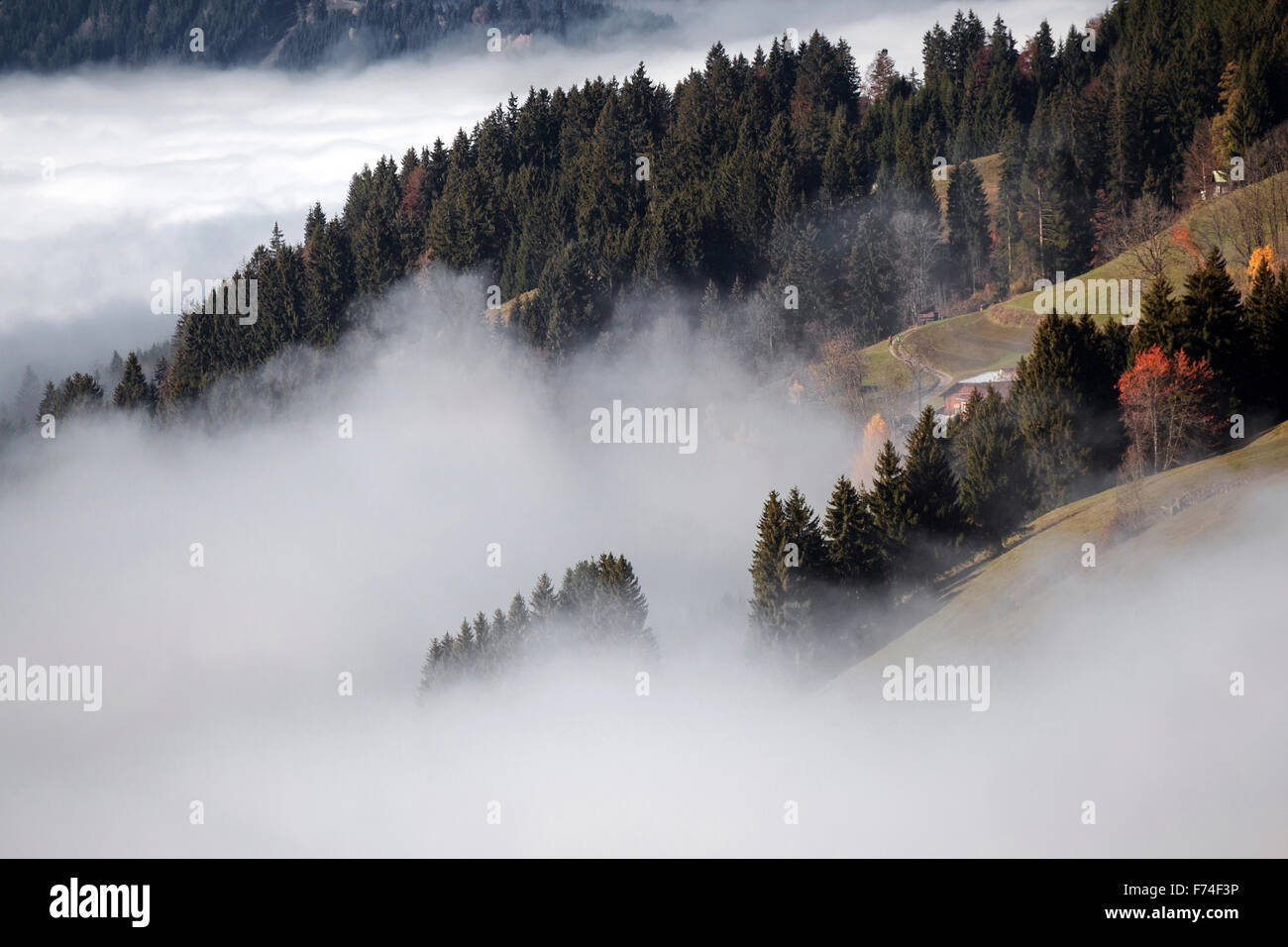 La nebbia sopra Ostrach Valley, Bad Hindelang, Algovia, Baviera, Germania Foto Stock