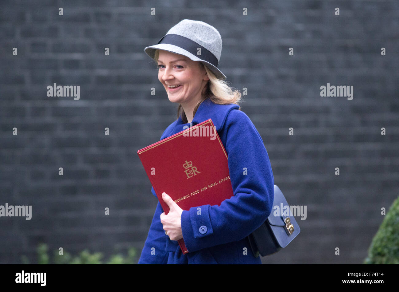 Liz Truss,il segretario di Stato per l'ambiente,l'alimentazione e gli affari rurali arriva al numero 10 di Downing Street per una riunione del gabinetto Foto Stock