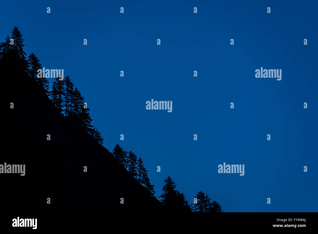 Ripido pendio di montagna con alberi di pino stagliano contro blu cielo notturno Foto Stock