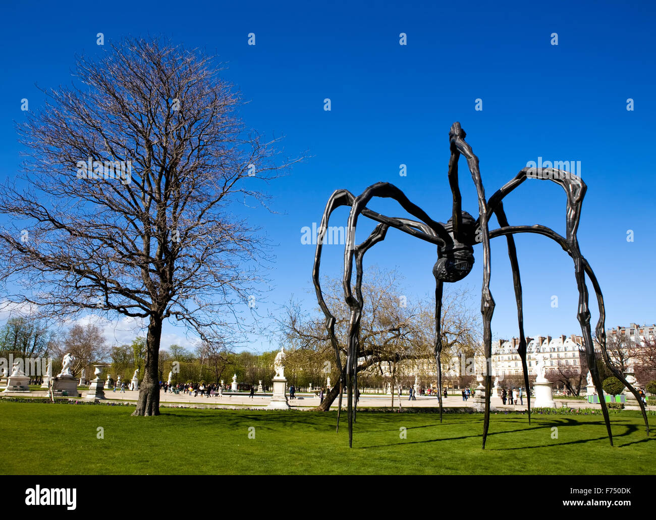 Big Black spider nel giardino di Versailles Foto Stock