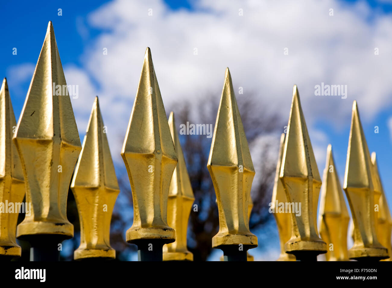 Golden spiken recinzione Foto Stock