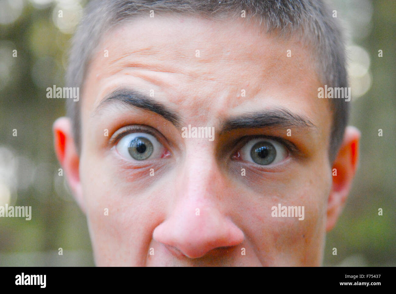 Ragazzo adolescente con occhi chiari in close-up nella foresta. Foto Stock