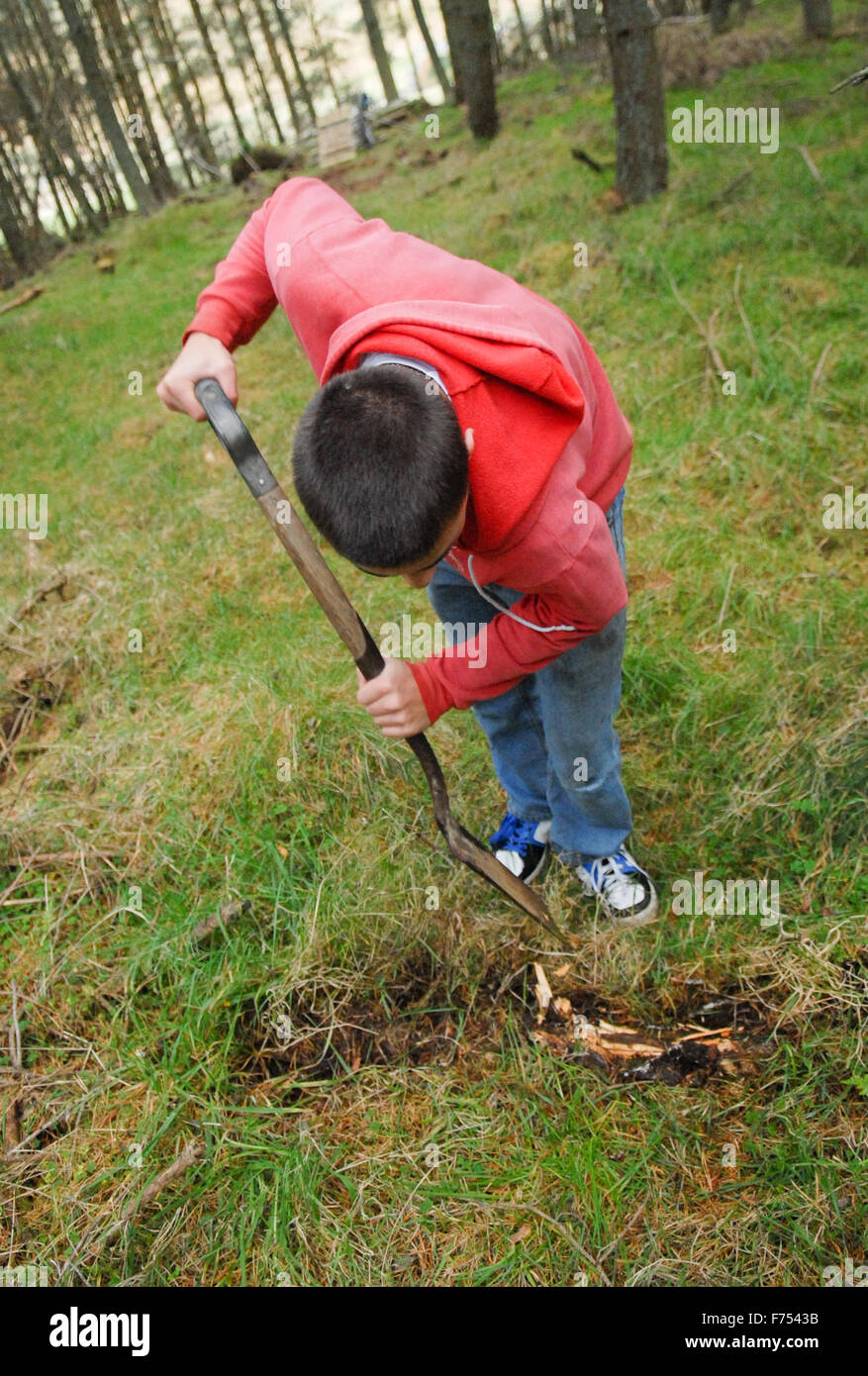 Ragazzo adolescente con la pala a scavare nella foresta. Foto Stock