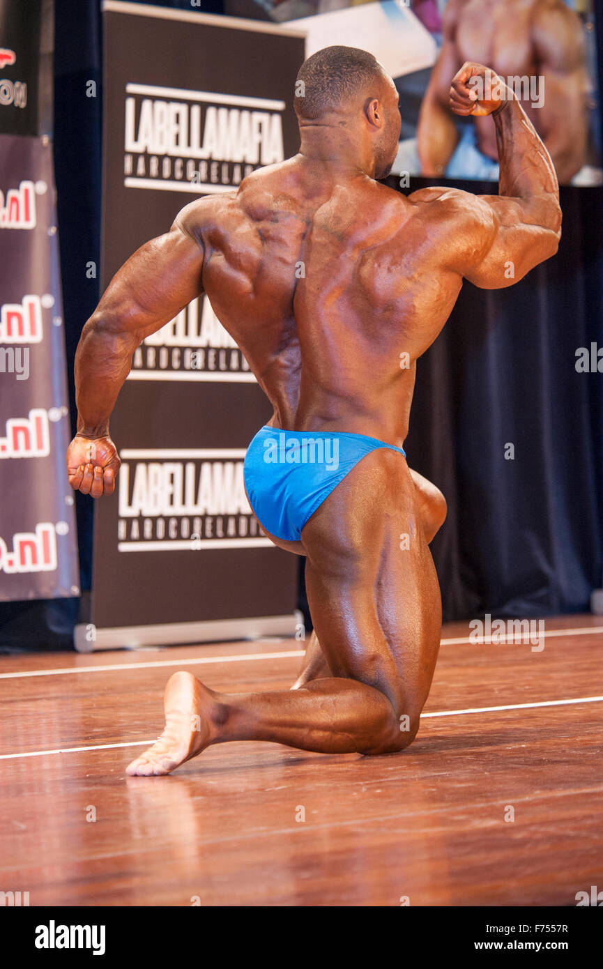 SCHIEDAM, Paesi Bassi - 26 aprile 2015. Maschio bodybuilder Michael Muzo mostra il suo grande bicipite e muscolari indietro Foto Stock