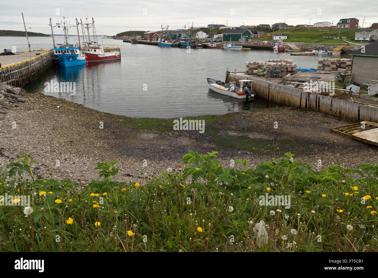 Porto di pesca a Port au choix, nel nord della penisola, Terranova. Foto Stock