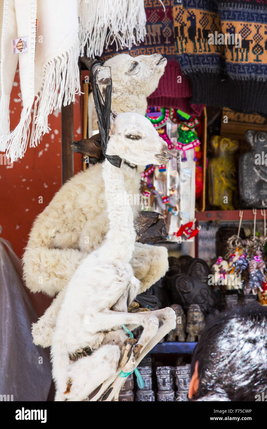 Lama Feotus per la vendita nel mercato delle streghe a La Paz, Bolivia, Sud America. Foto Stock