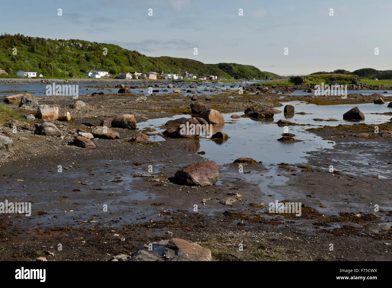 Artigliere's Cove con la bassa marea. Penisola Settentrionale, Terranova. Foto Stock