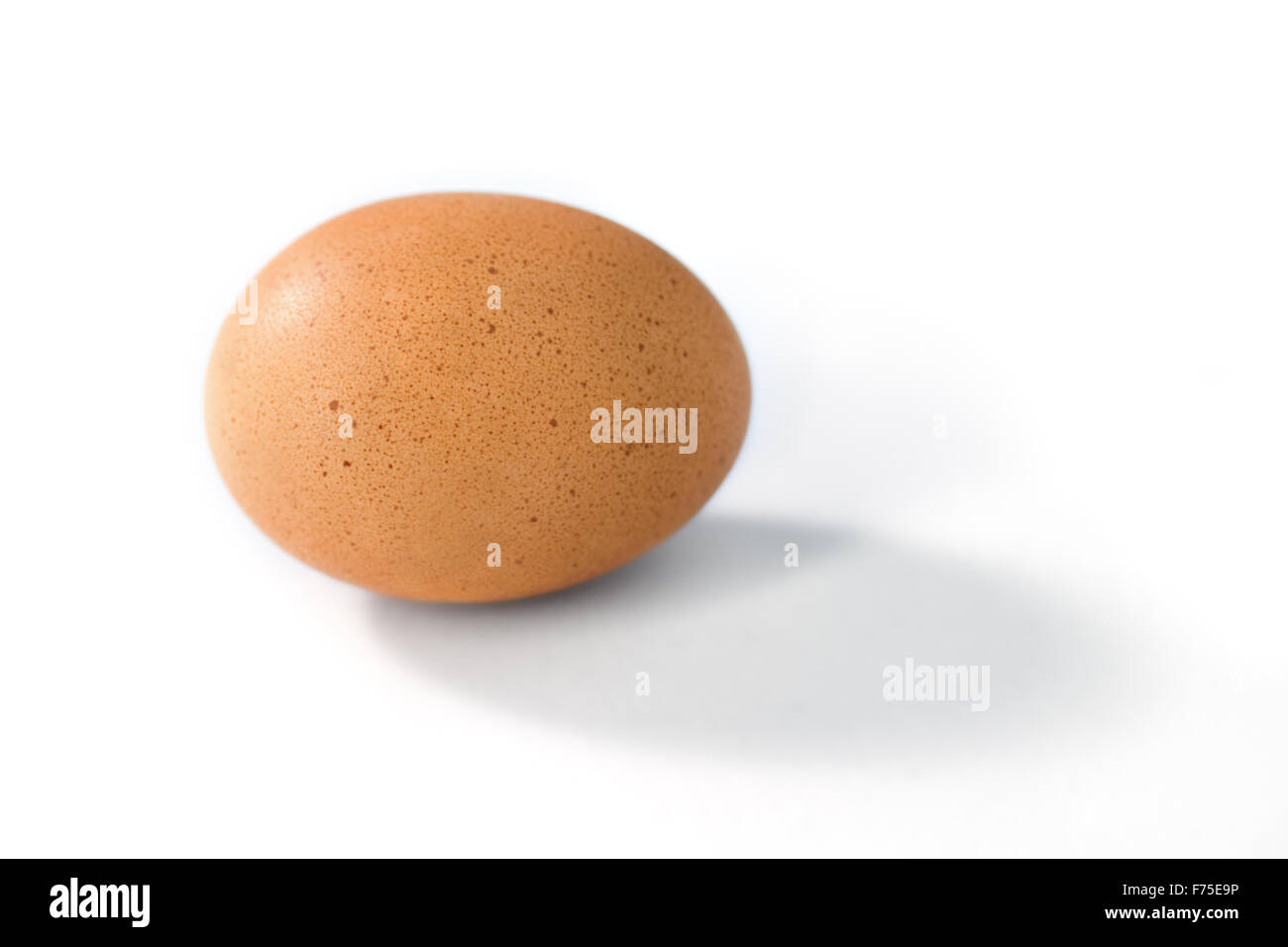 Marrone singola di un uovo di gallina su sfondo bianco Foto Stock