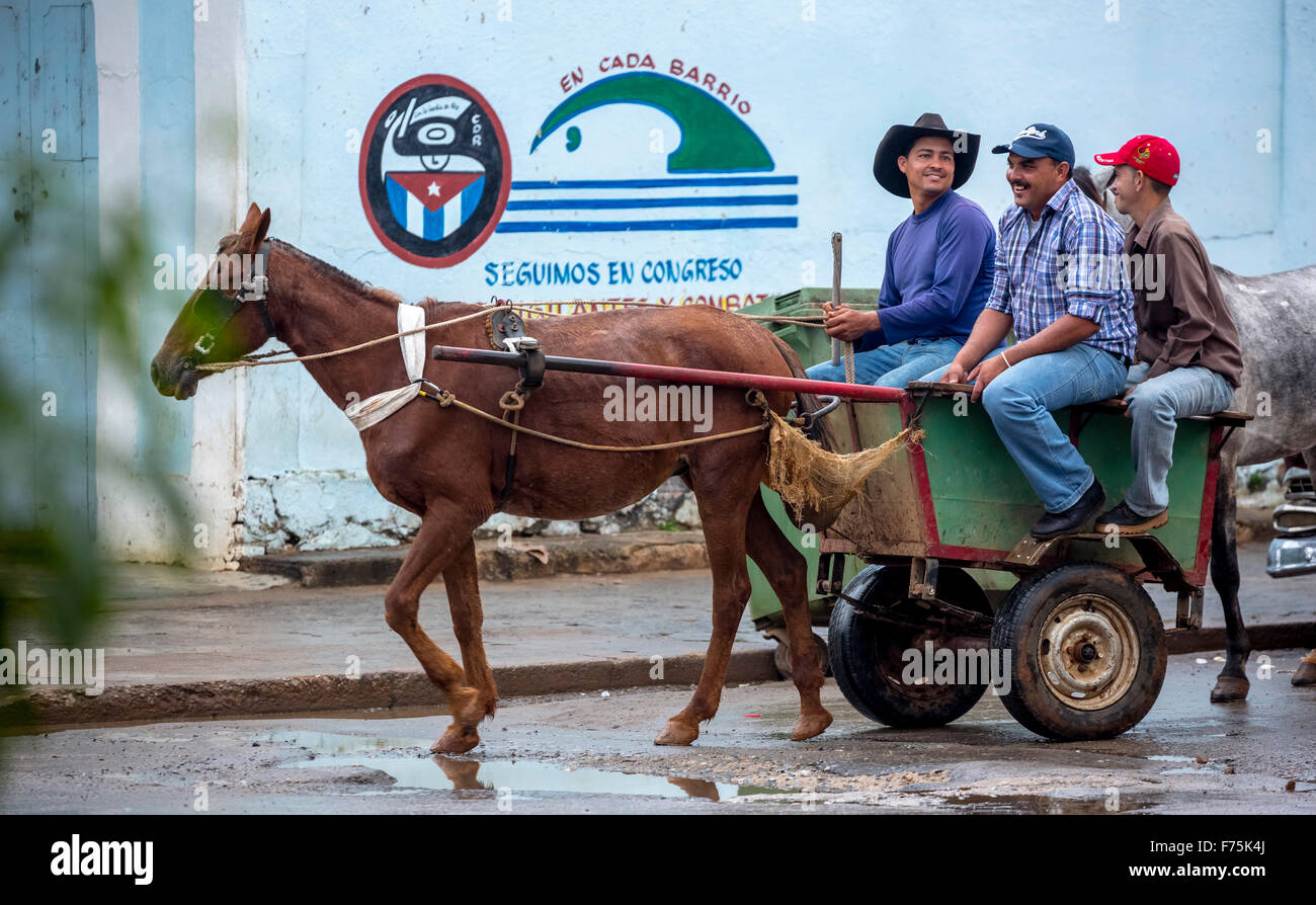 Buggy, einspanniges veicolo, tre agricoltori, trasporto cubano, Viñales, Cuba, Pinar del Rio, Cuba, Scene di strada Foto Stock