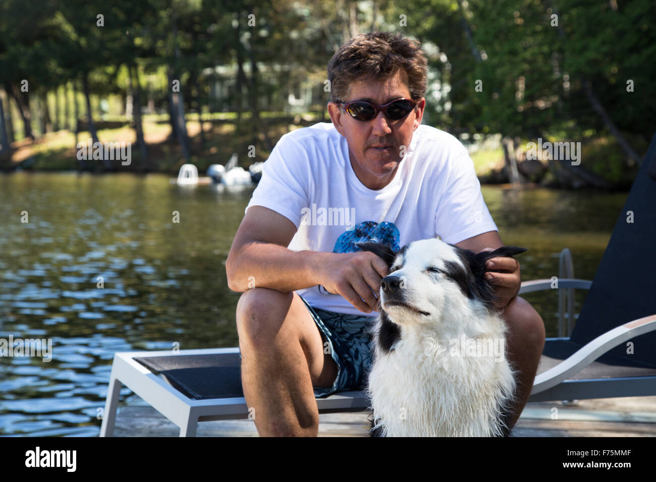 Cane godendo di attenzione da parte del proprietario ha sul dock cottage a lakehouse Foto Stock
