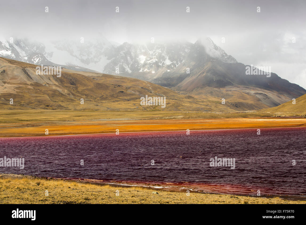 Laguna Miluni è un serbatoio alimentato da acqua di disgelo glaciale dal picco andino di Huayna Potosi sulle Ande boliviane. Come il cambiamento climatico casuses ghiacciai al fuso, la fornitura di acqua per La Paz in Bolivia il capitale viene rapidamente il funzionamento a secco. Il serbatoio è inoltre contaminato da effluente di miniera nonché ad un livello basso a causa della siccità. Foto Stock