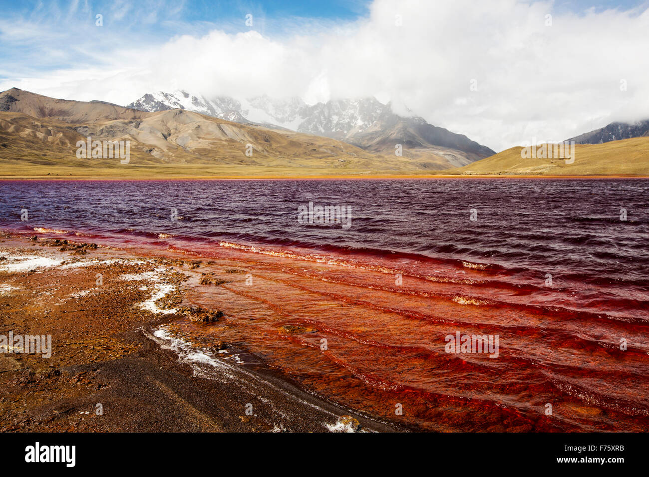 Laguna Miluni è un serbatoio alimentato da acqua di disgelo glaciale dal picco andino di Huayna Potosi sulle Ande boliviane. Come il cambiamento climatico casuses ghiacciai al fuso, la fornitura di acqua per La Paz in Bolivia il capitale viene rapidamente il funzionamento a secco. Il serbatoio è inoltre contaminato da effluente di miniera nonché ad un livello basso a causa della siccità. Foto Stock