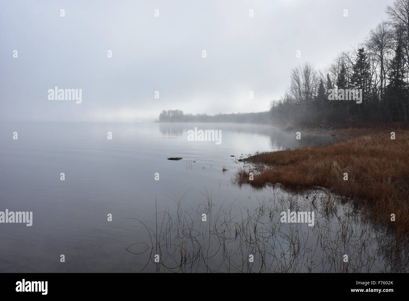 Fitta nebbia si muove lentamente lungo il fiume, diffonde la luce diretta del sole. Foto Stock