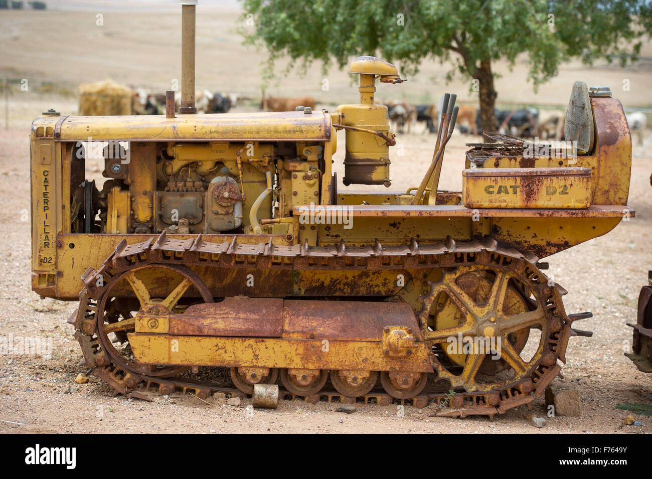Vecchio giallo Caterpillar Tractor in una fattoria in Sud Africa Foto Stock