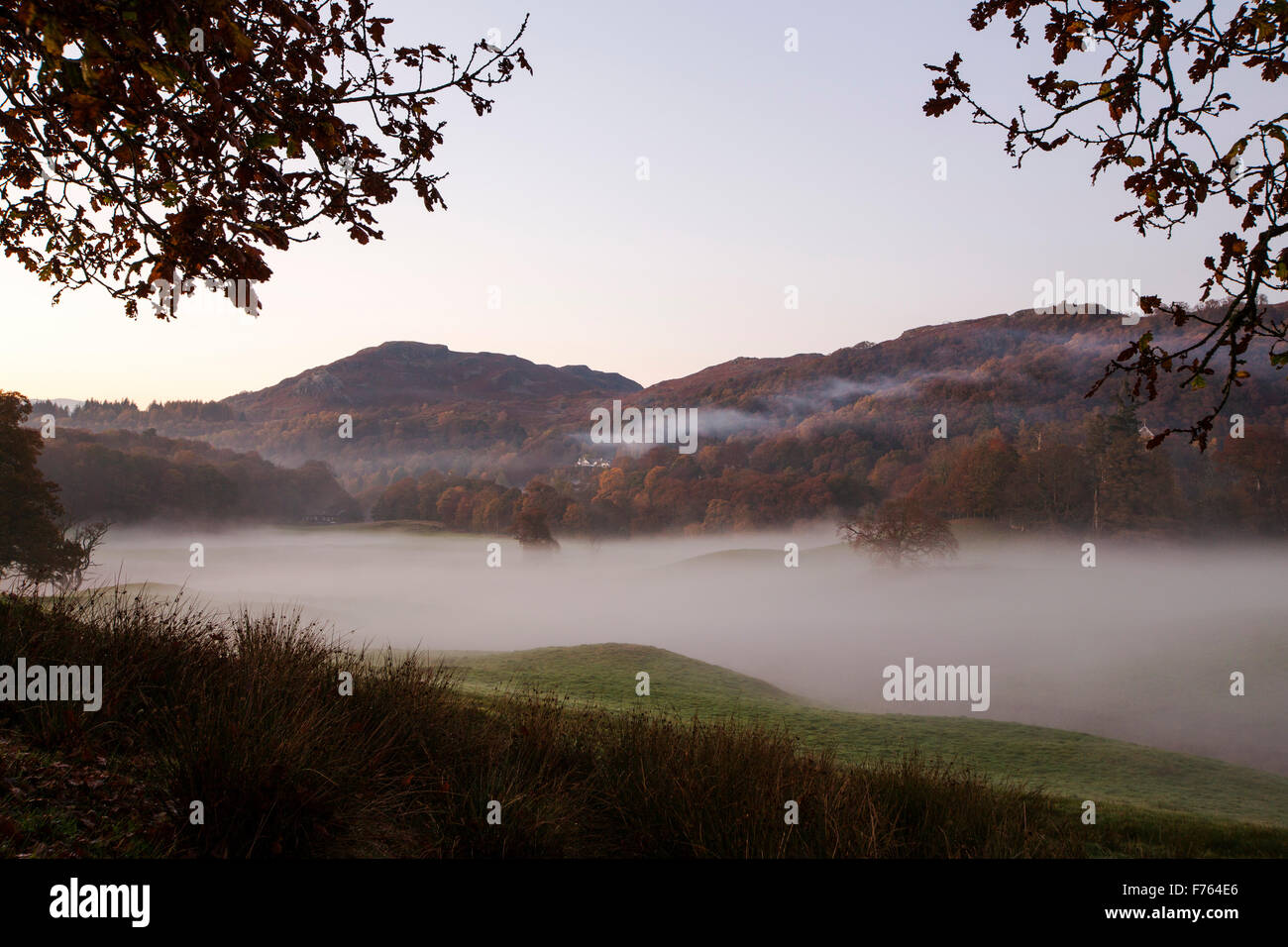 Valley mist over the Langdale Valley a Clappersgate, vicino a Ambleside, nel distretto del lago, UK. Foto Stock