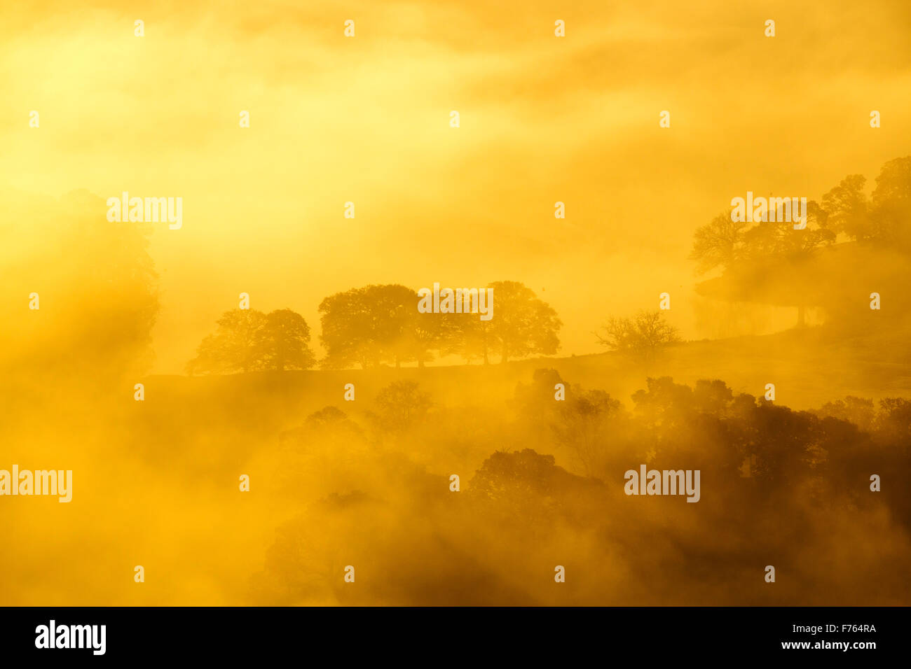 Nebbia a valle sul Lago di Windermere da Todd roccioso nel distretto del lago, UK a sunrise. Foto Stock