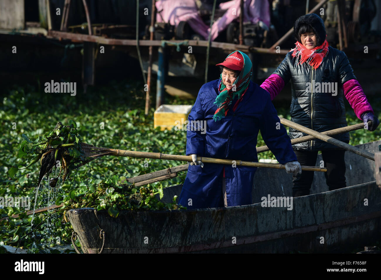Hefei, cinese della provincia di Anhui. 26 Nov, 2015. Pescatori di ripulire il lago Chaohu a Hefei, Cina orientale della provincia di Anhui, nov. 26, 2015. © Du Yu/Xinhua/Alamy Live News Foto Stock