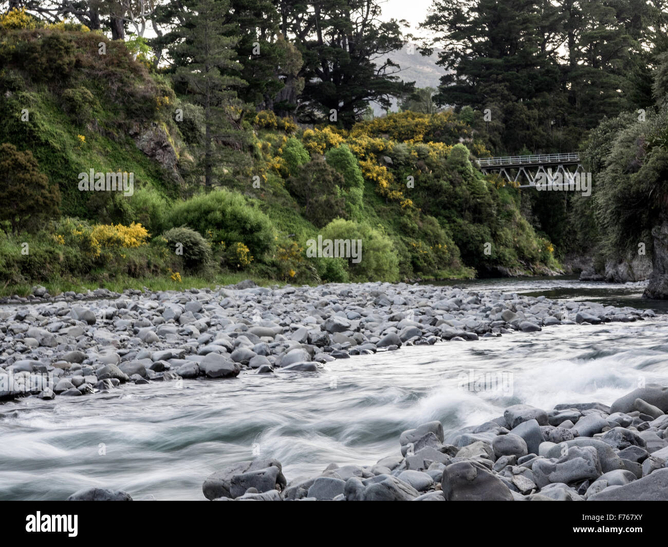 Ngaruroro River Bridge, Kuripapango, Taihape Napier Road, North Island, Nuova Zelanda Foto Stock