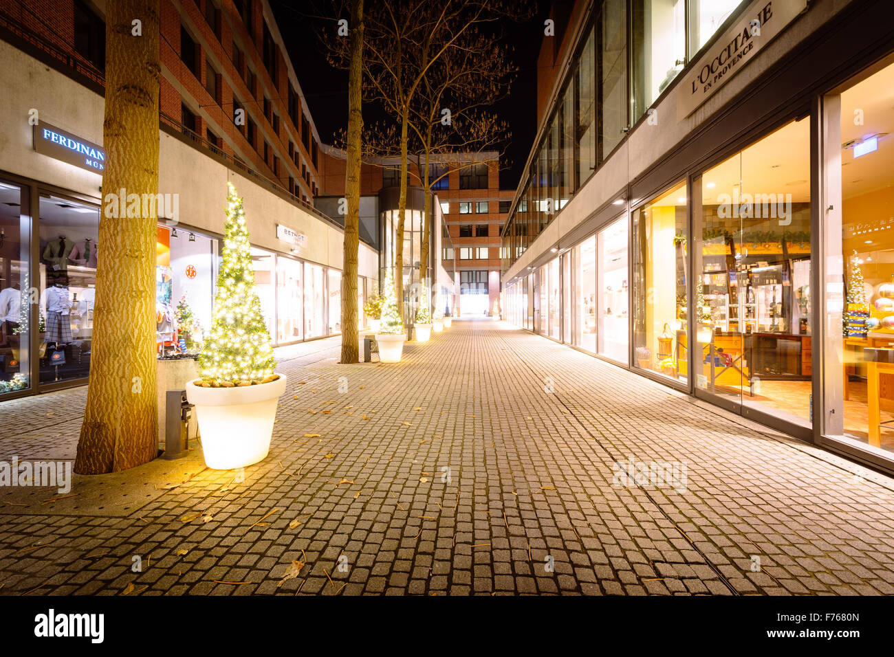 Alberi di Natale lungo un marciapiede di notte a Monaco di Baviera, Germania. Foto Stock