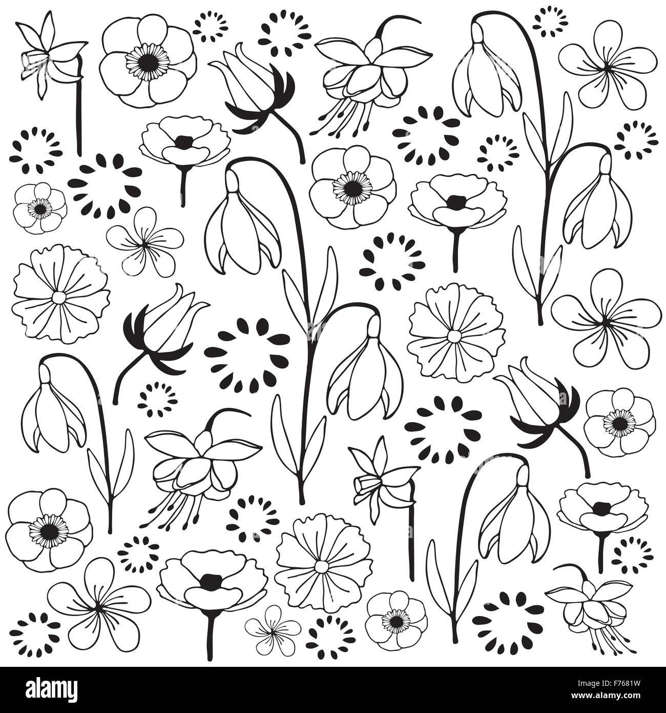Fiori e foglie mano bozzetto doodle in bianco e nero illustrazione Illustrazione Vettoriale