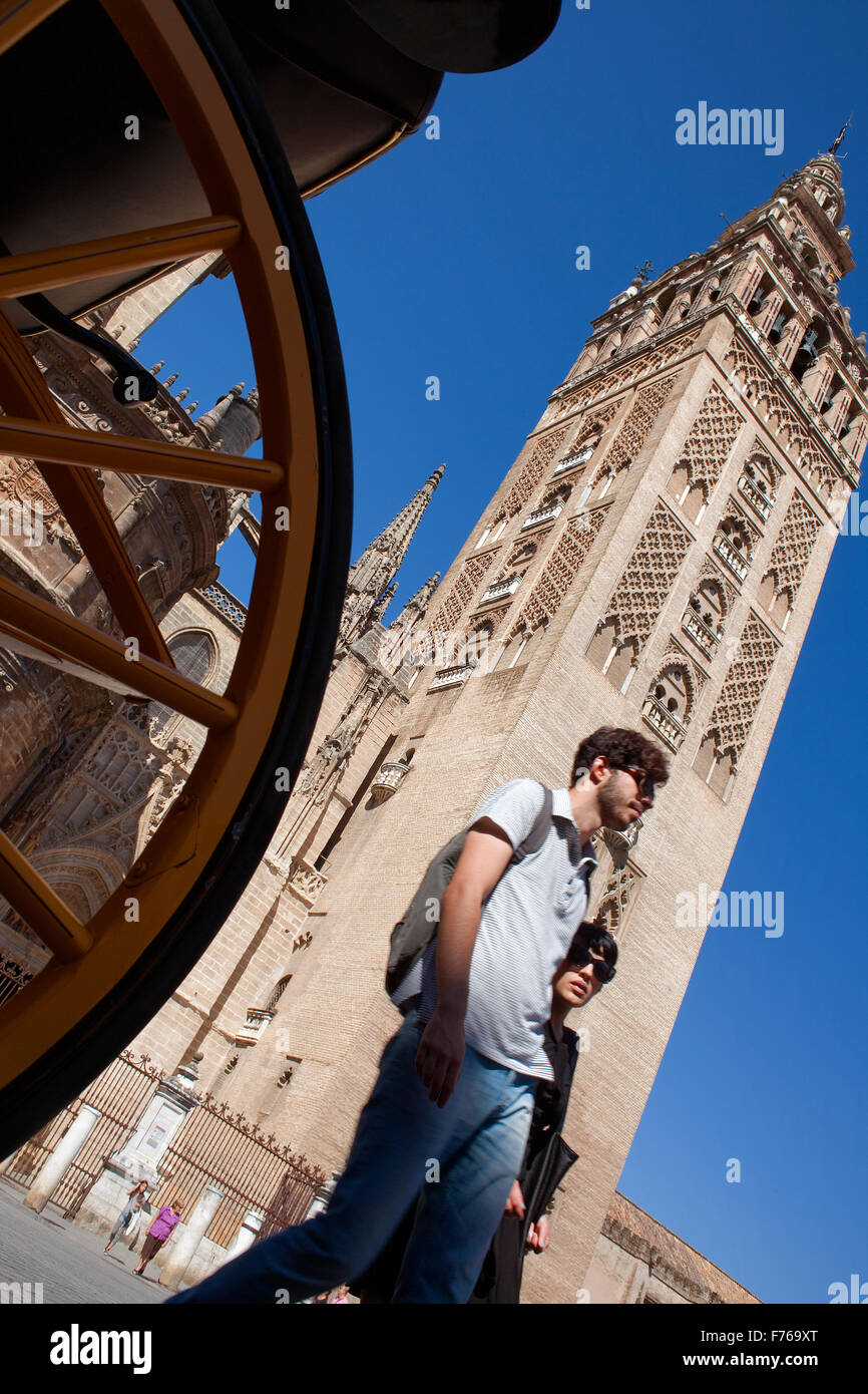 Cattedrale,torre Giralda da Plaza Virgen de los Reyes,Sevilla,Andalucia,Spagna Foto Stock