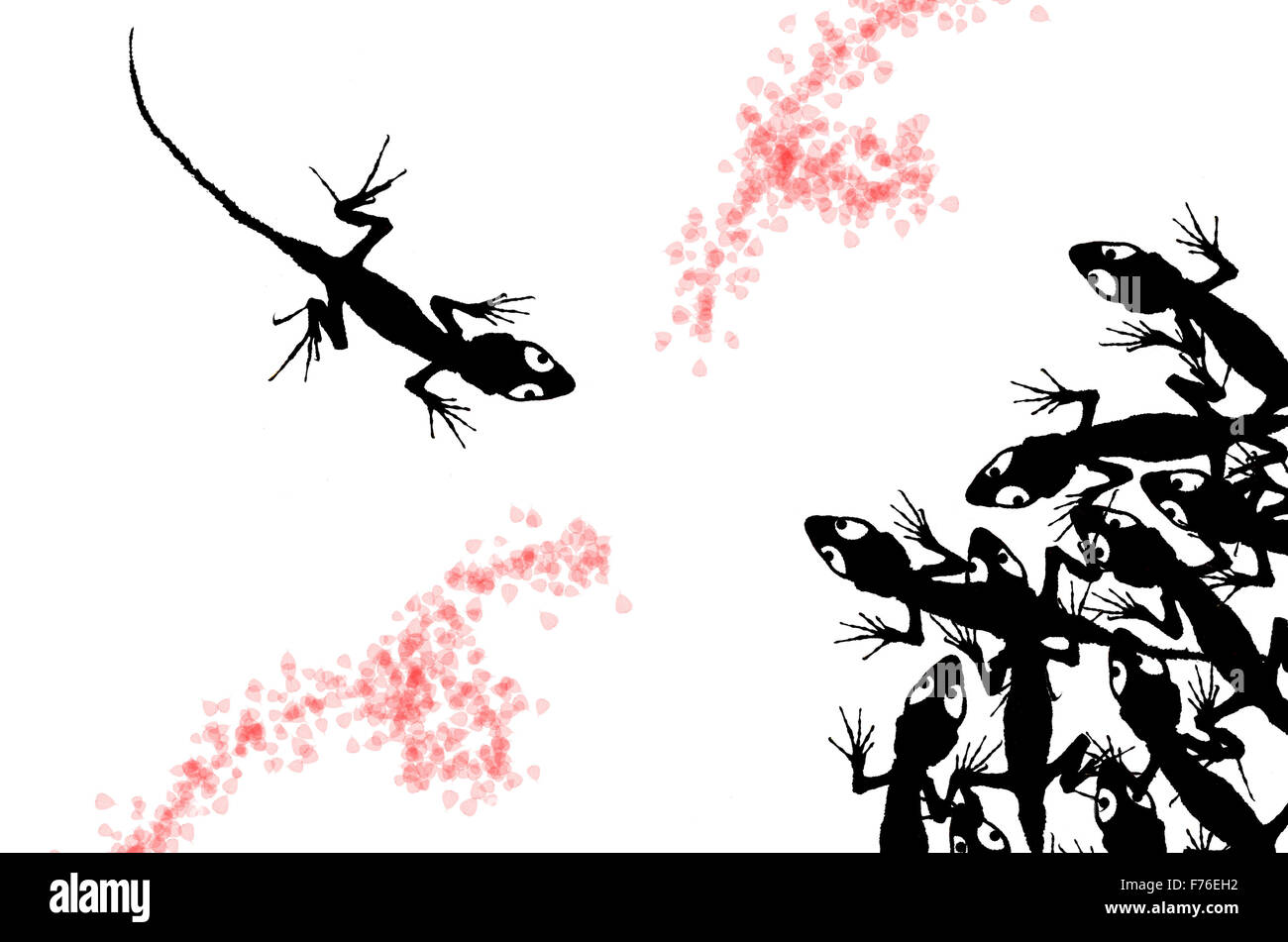 bianco e nero Foto Stock