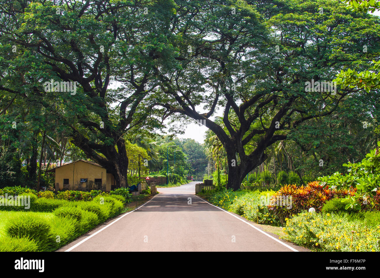 Bellissimo paesaggio park, modo di verità Foto Stock