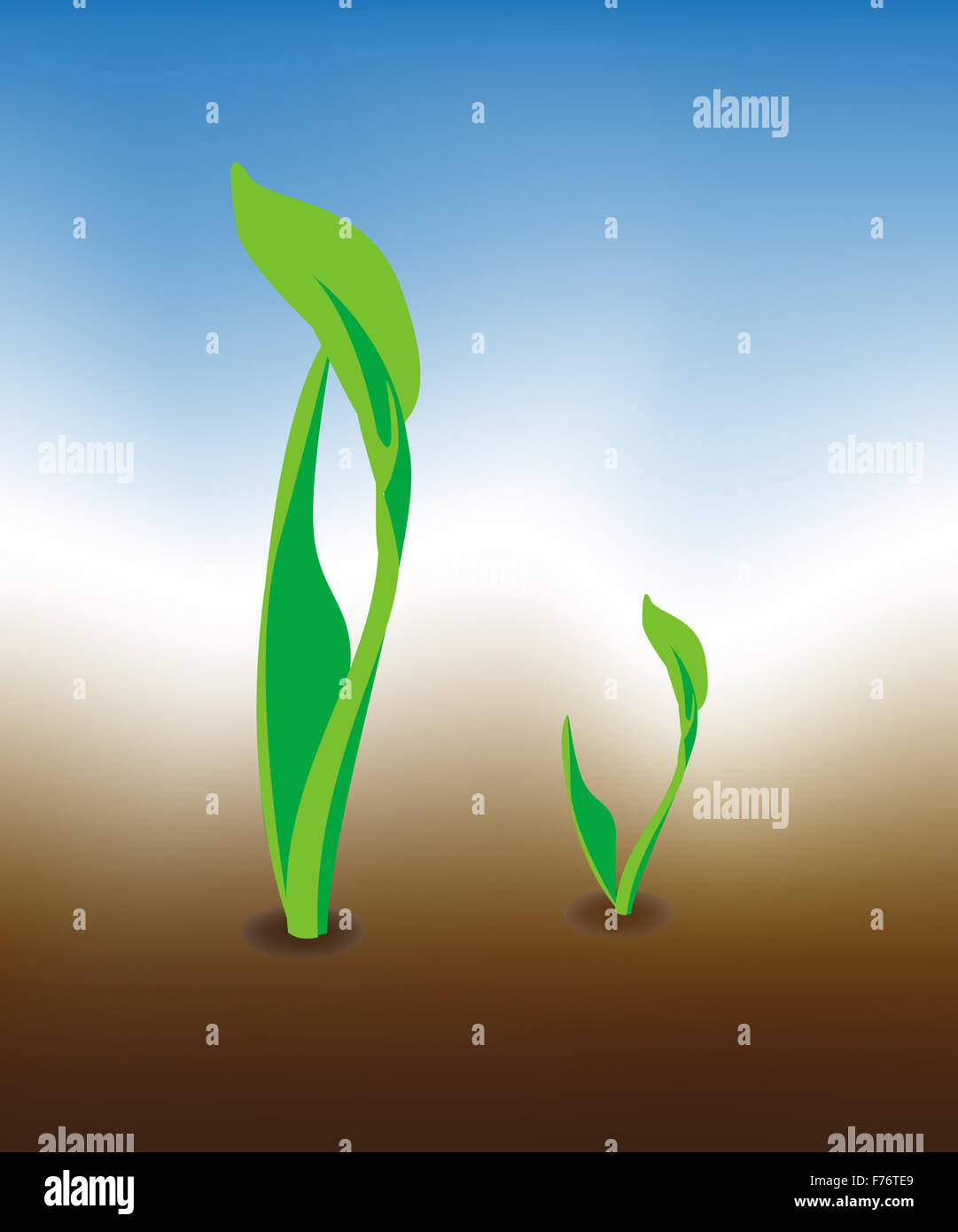 Crescita 04 Foto Stock