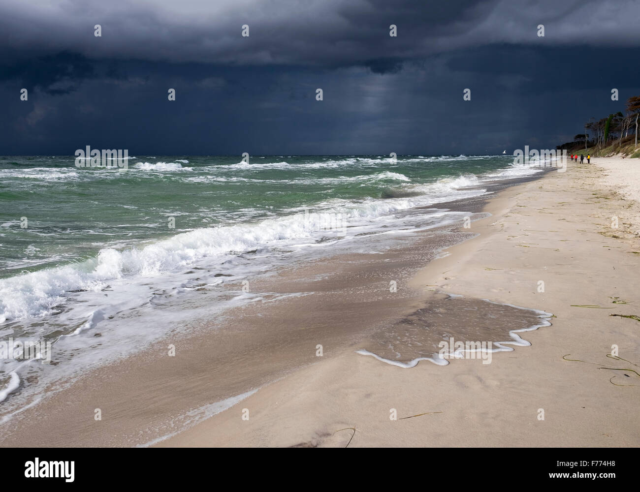 Oscura pioggia nuvole sulla spiaggia Weststrand, Mar Baltico, nato auf dem Darß, Fischland-Darß-Zingst, Western Pomerania Area Laguna Foto Stock