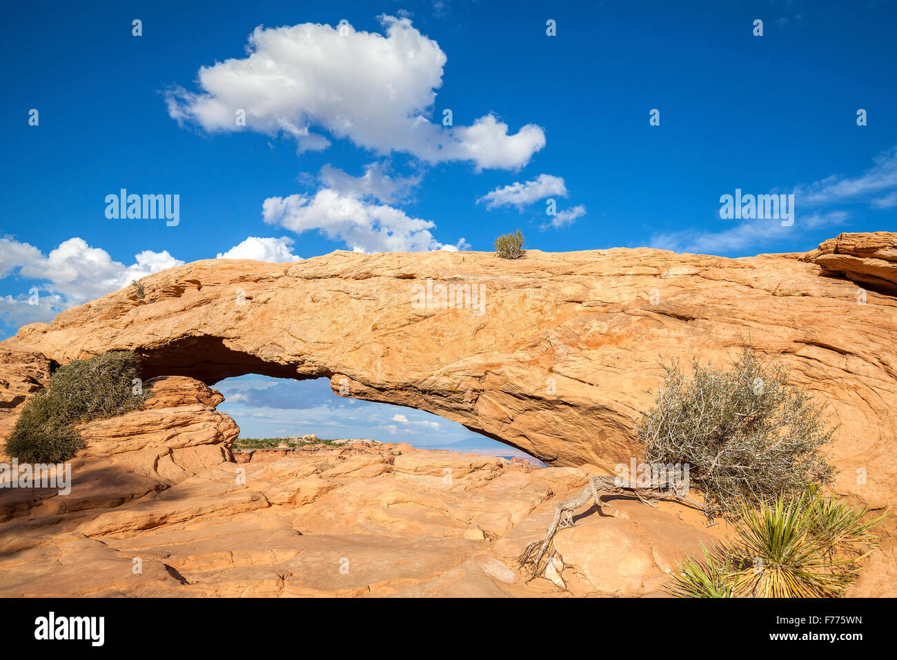 Mesa Arch nel Parco Nazionale di Canyonlands vicino a Moab, Utah, Stati Uniti d'America Foto Stock