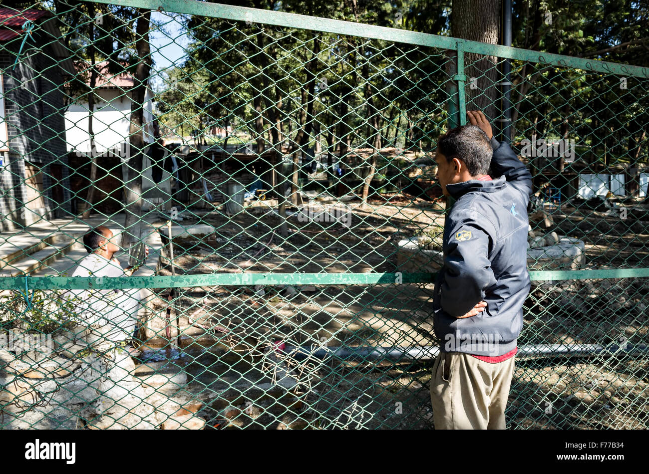 Un uomo è la visione di rasatura di un altro uomo attraverso una recinzione cablata, Gaushala, Kathmandu, 2015, il Nepal Foto Stock