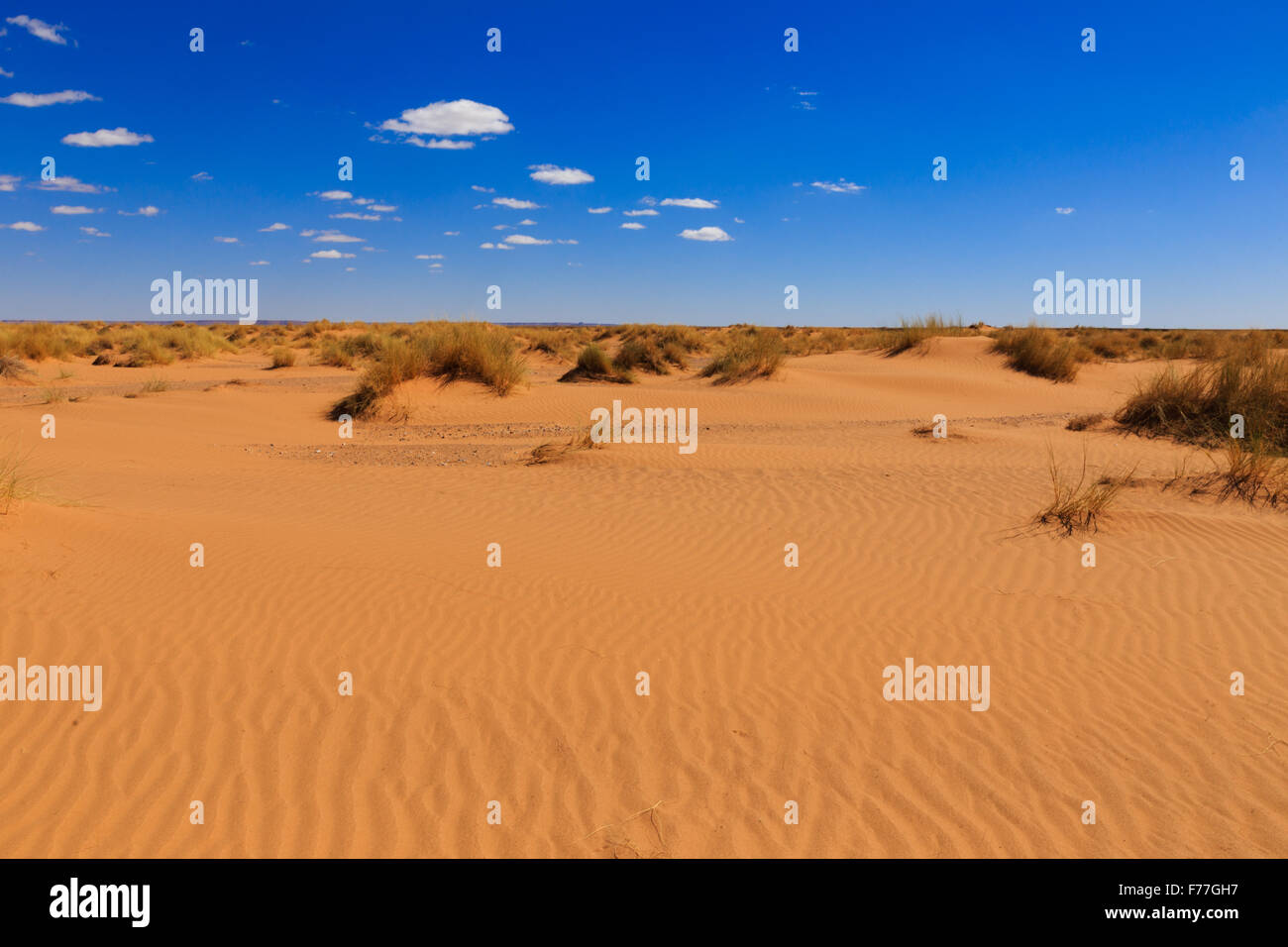 Deserto del Sahara, Marocco Foto Stock