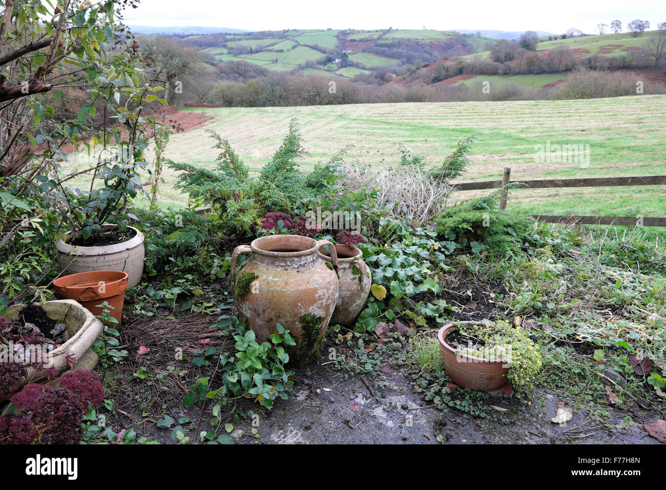 Gruppo di terracotta vasi da giardino raggruppati su un patio giardino in un paese rurale il paesaggio agricolo in inverno in West Wales UK KATHY DEWITT Foto Stock