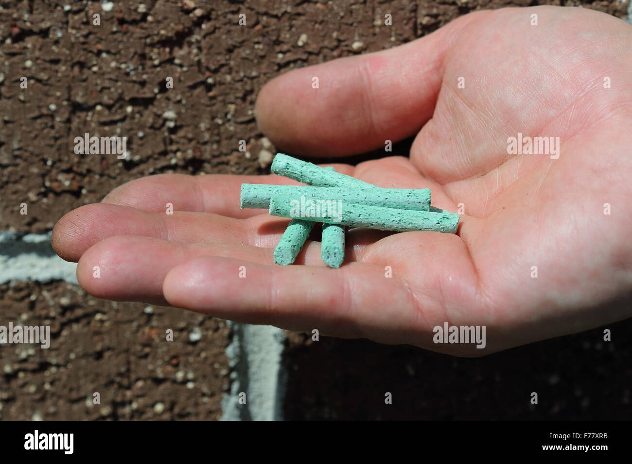 Close up di un maschio di mano che tiene il fertilizzante nella mano destra contro un muro di mattoni Foto Stock